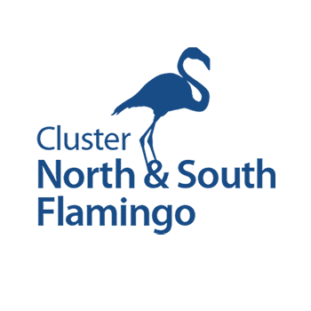 north-south-flamingo